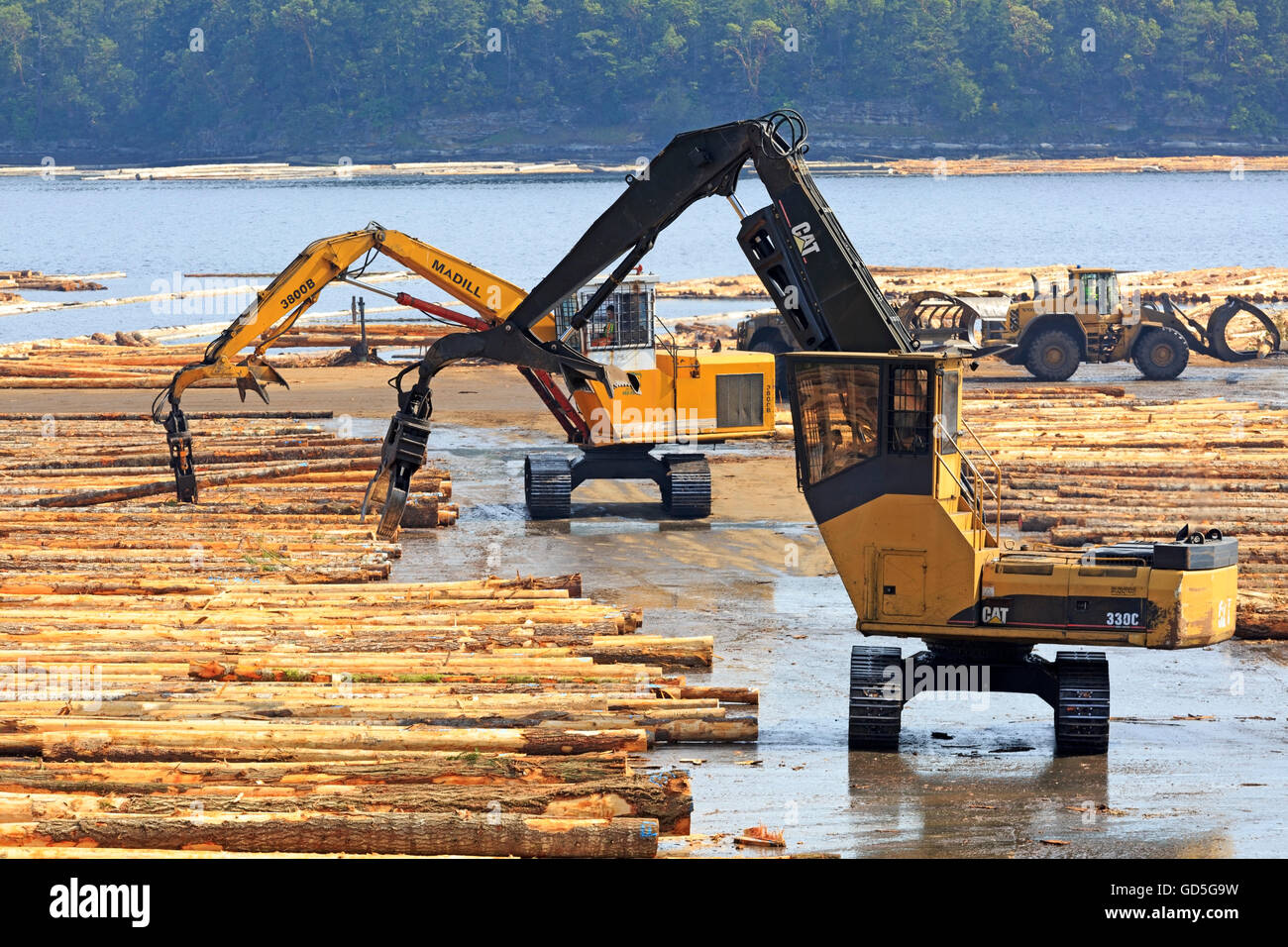 Equipment sorting logs at sawmill, Ladysmith, Vancouver Island, British ...