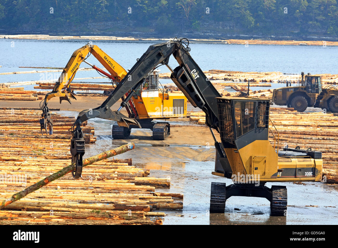 Equipment sorting logs at sawmill, Ladysmith, Vancouver Island, British Columbia Stock Photo