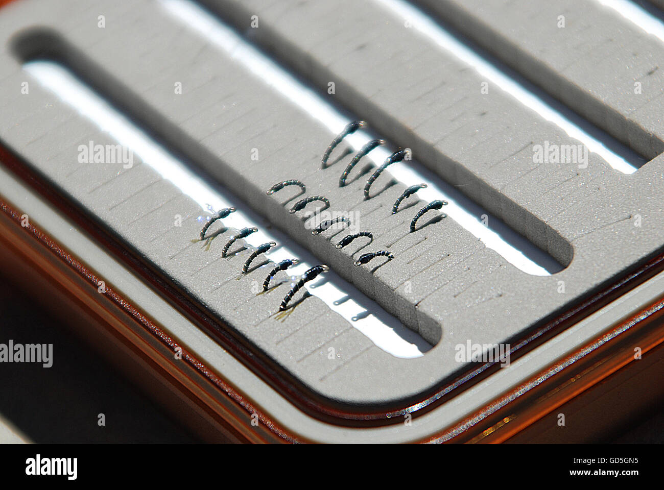 Midges in a fly box Stock Photo Alamy