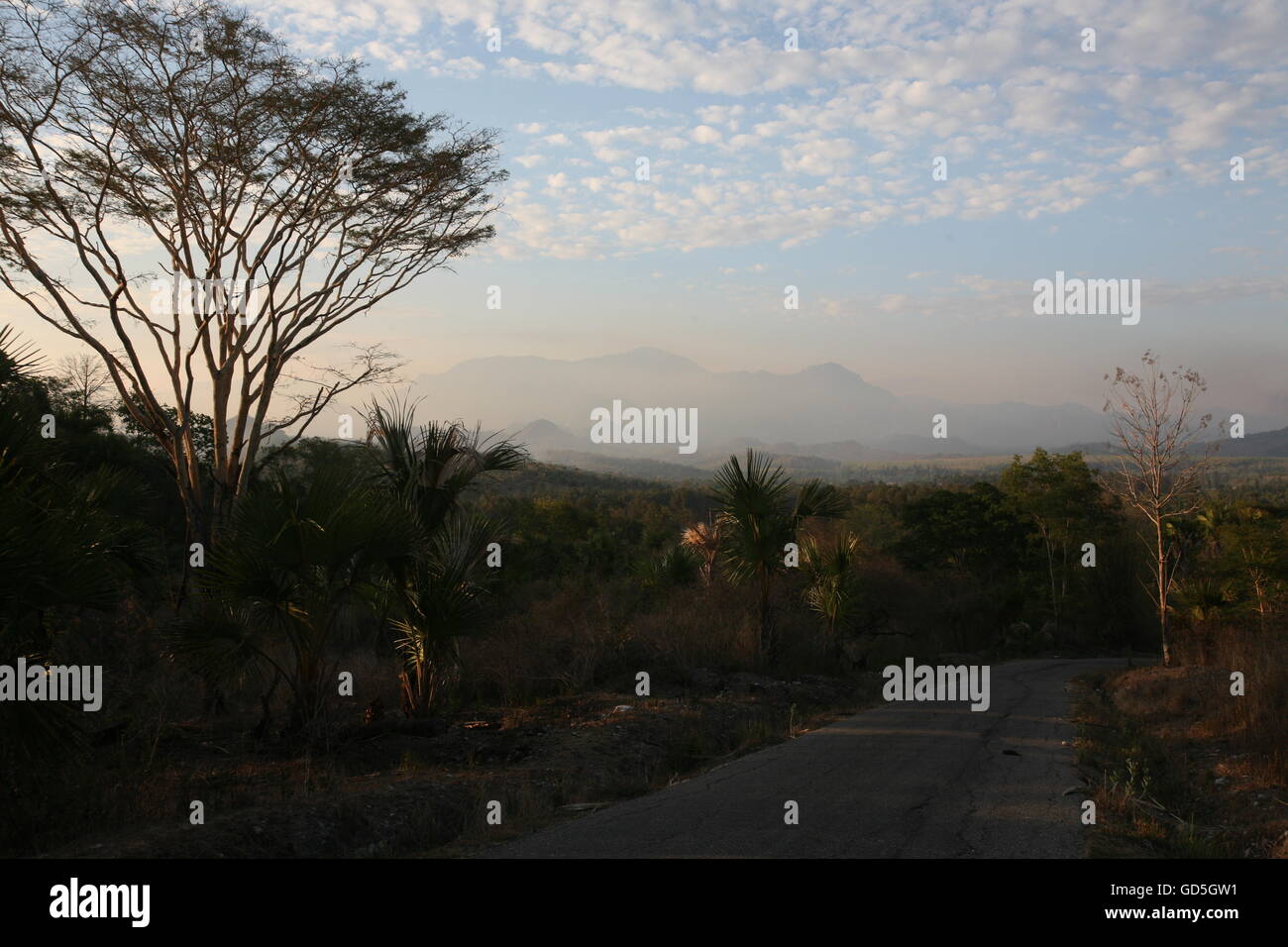 The Landscape with near the village of Moubisse in the south of East Timor in southeastasia. Stock Photo