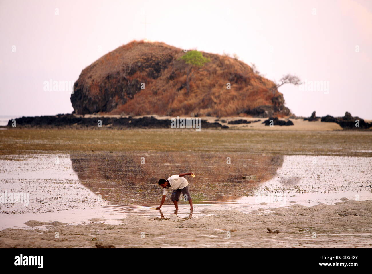 Manatuto hires stock photography and images Alamy