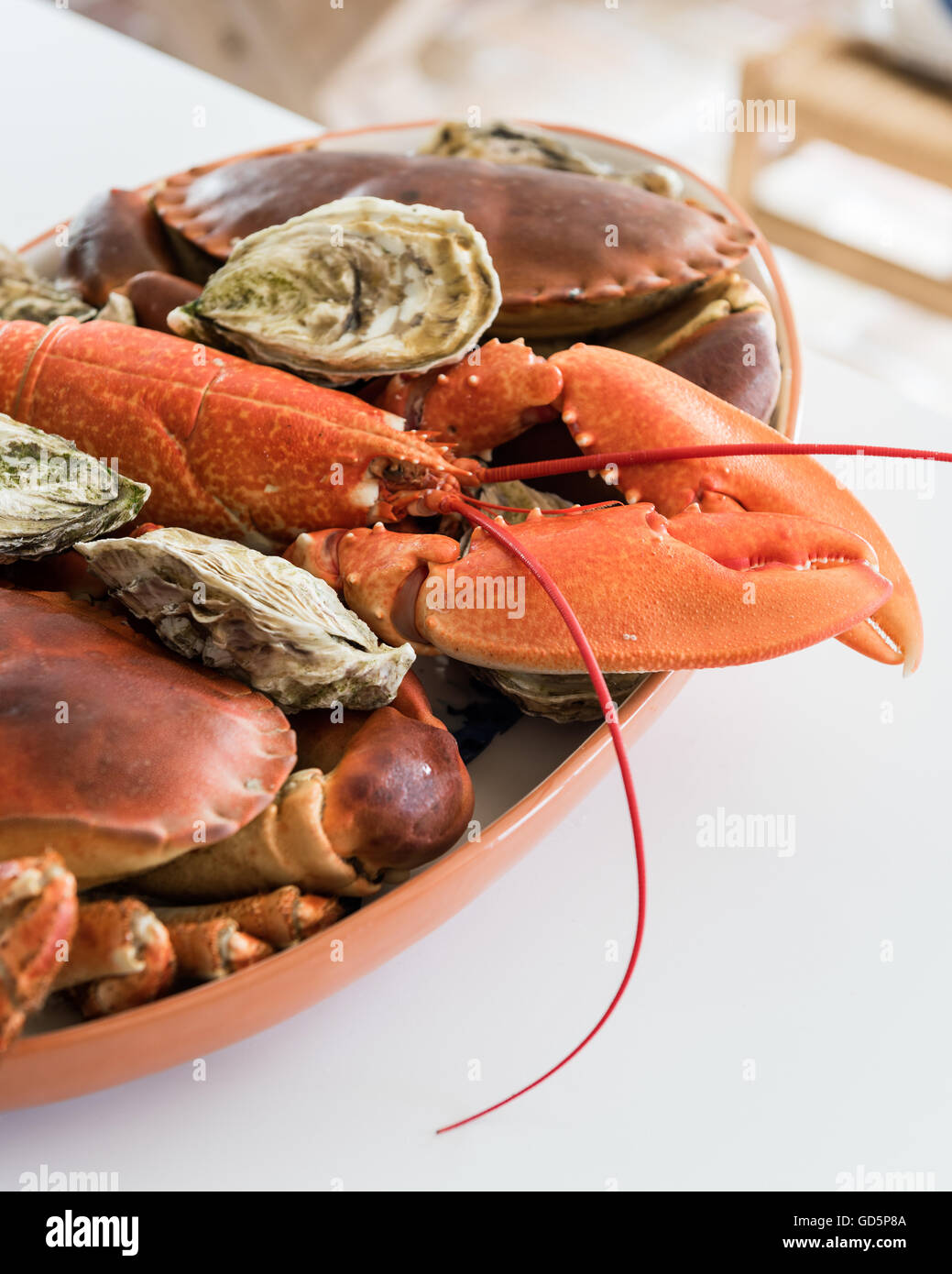 Lobster, crab and oyster platter Stock Photo