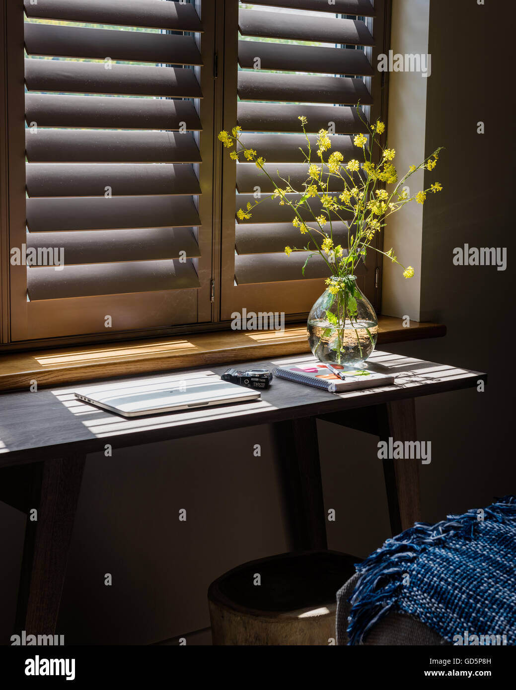 Detail of vase with sprigs of yellow flowers with plantation shutters in background Stock Photo