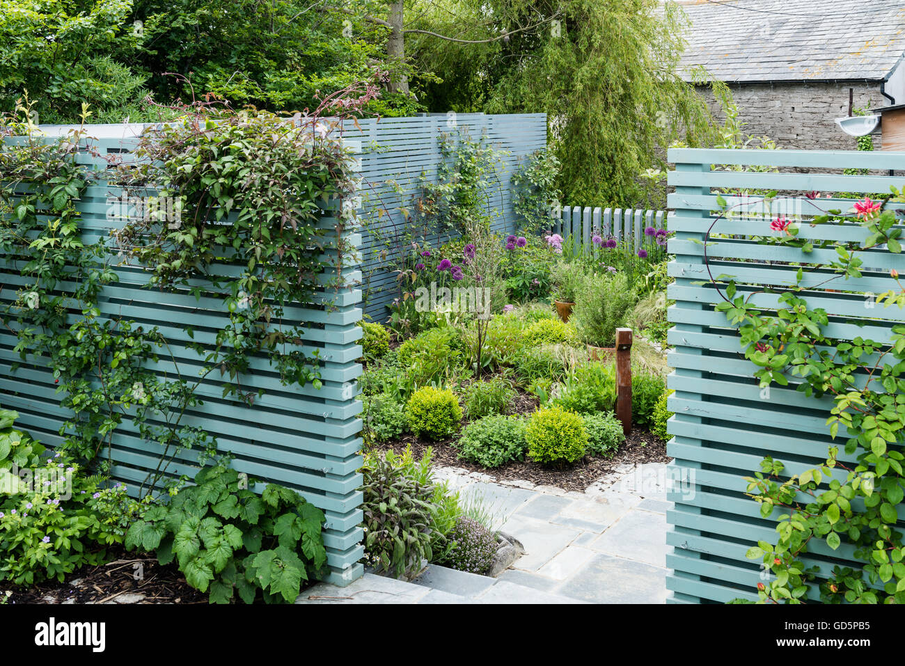 Courtyard garden with wooden slat screen painted in Pigeon from Farrow & Ball Stock Photo