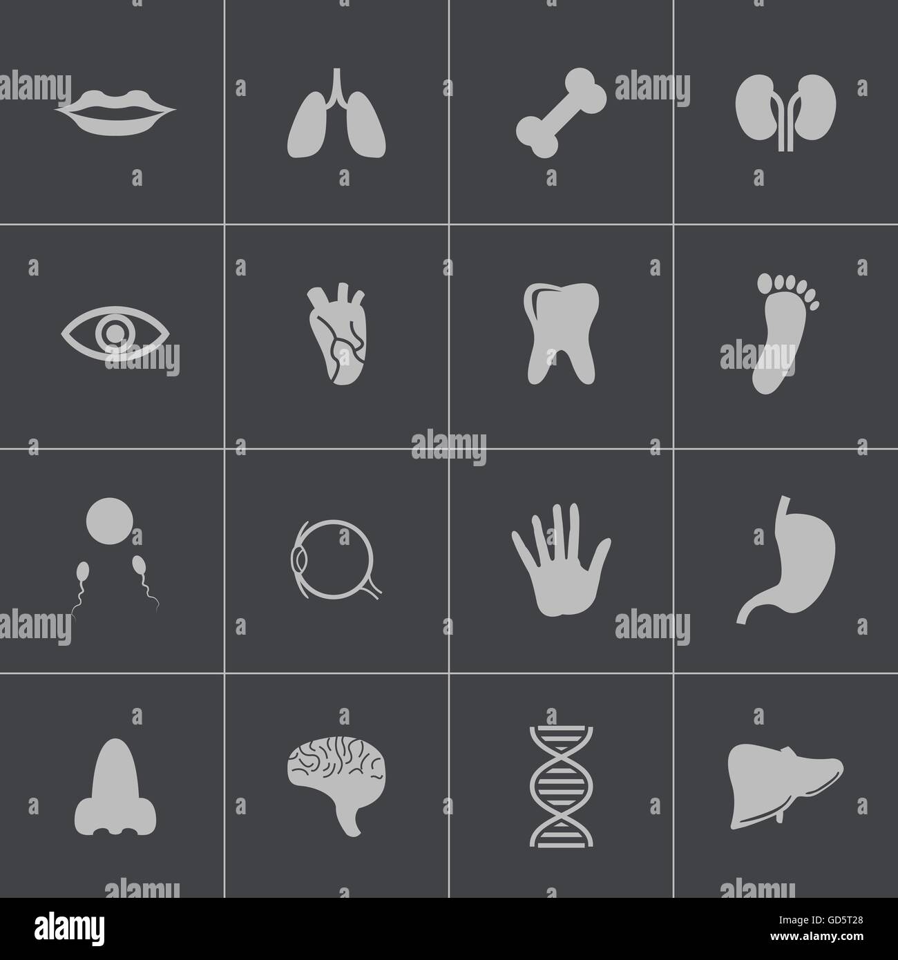 Vector black anatomy icons set Stock Vector Image & Art - Alamy