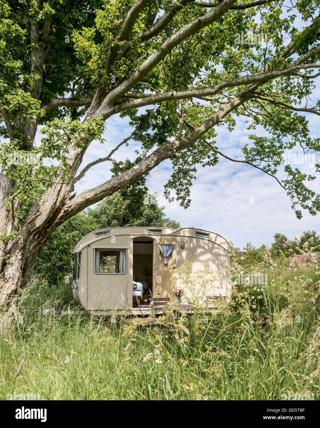 vintage caravan under the shade of an oak tree in english meadow Stock Photo