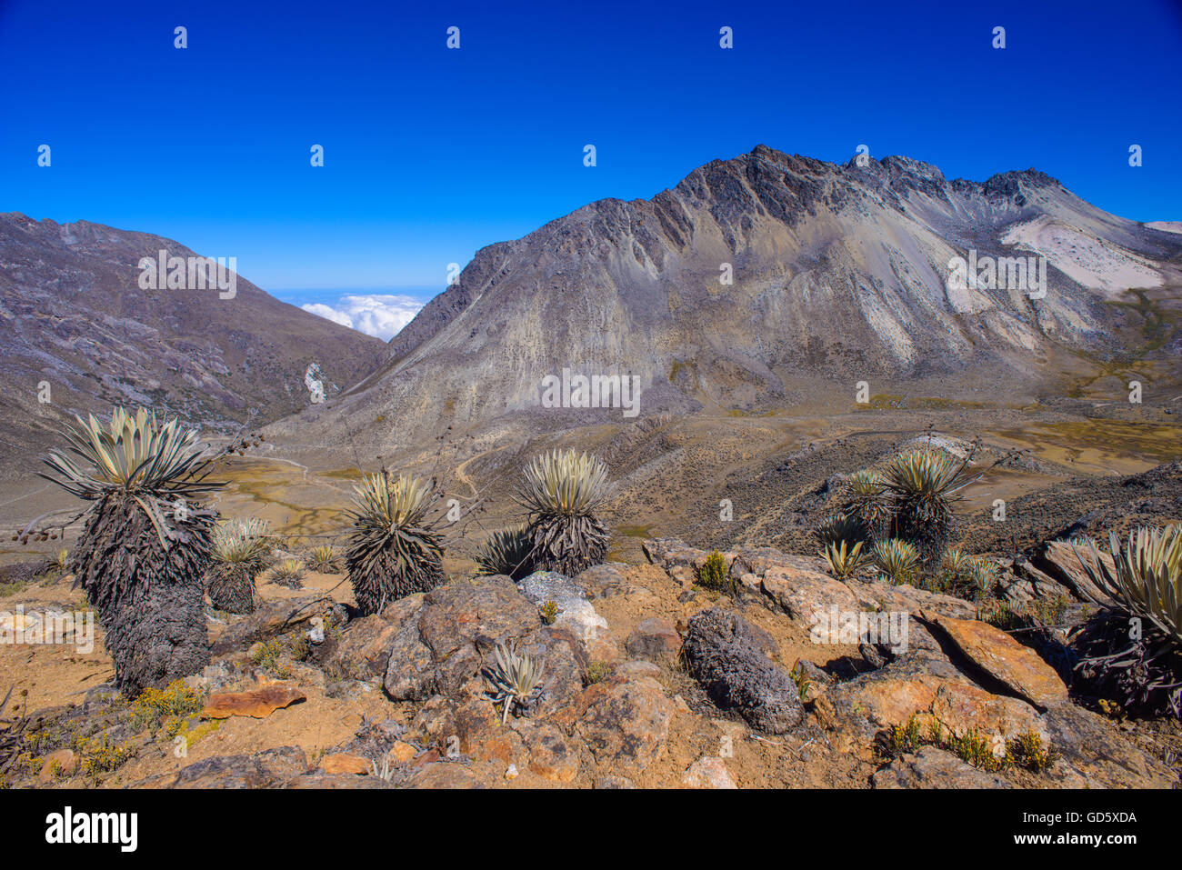 Landscapes high altitudes in the tropical Andes, Merida, Venezuela Stock Photo