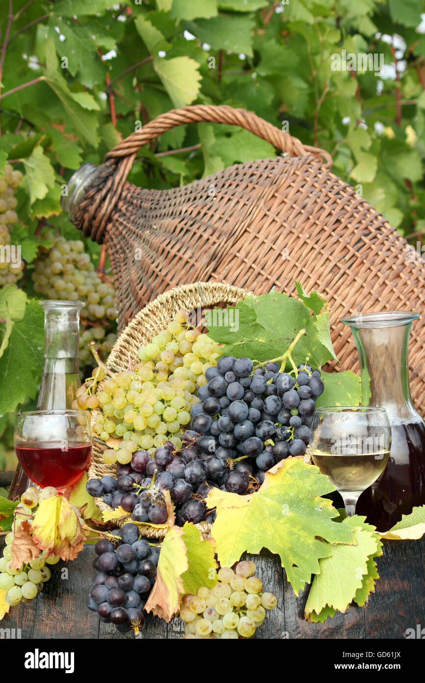 Grape scene hires stock photography and images Alamy