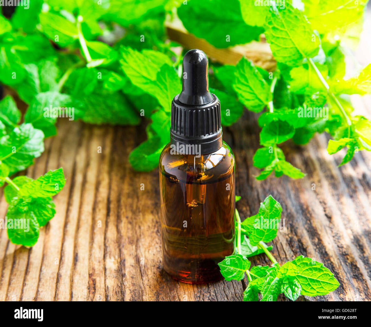 Mint essence/oil in black bottle on wooden board with mint leaves plant Stock Photo