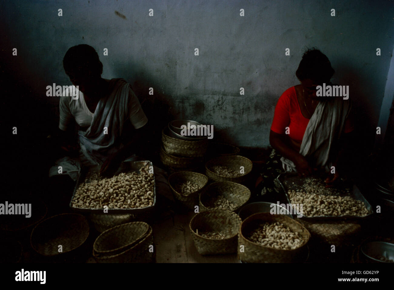 Cashew nut factory Stock Photo