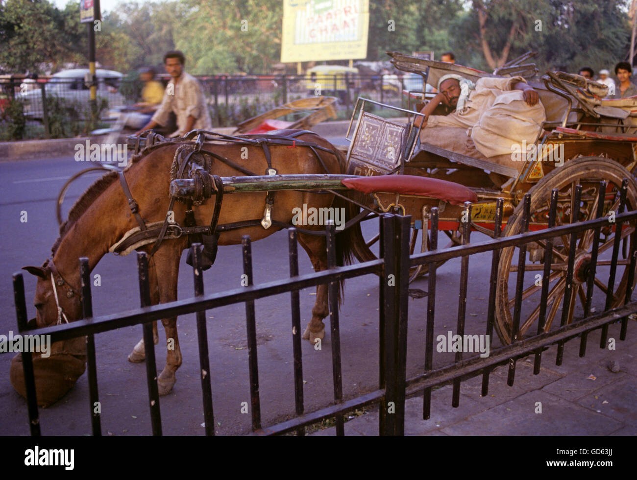 Tonga horse cart hires stock photography and images Alamy