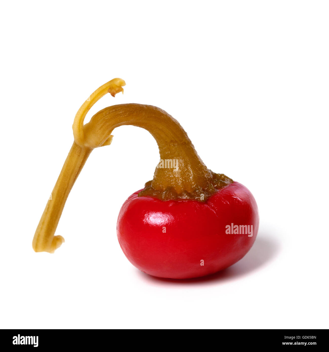 Hot turkish pickled pepper isolated on white background. Closeup view