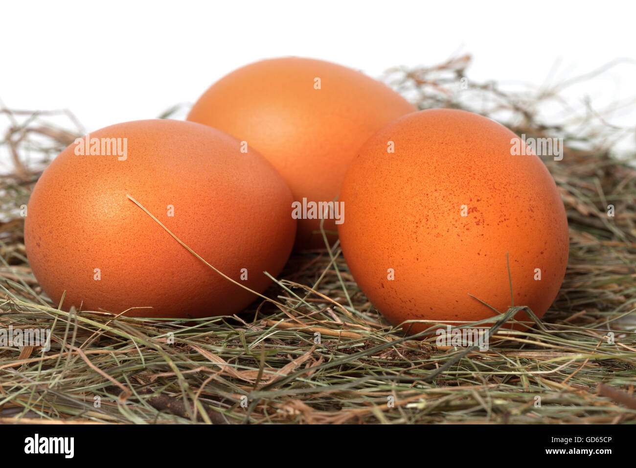 Three chicken eggs in nest. Close-up view Stock Photo - Alamy