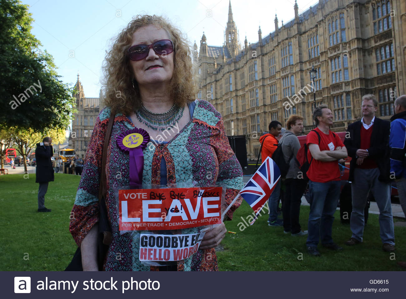 A Vote leave supporter on the morning of the EU referendum result Stock Photo