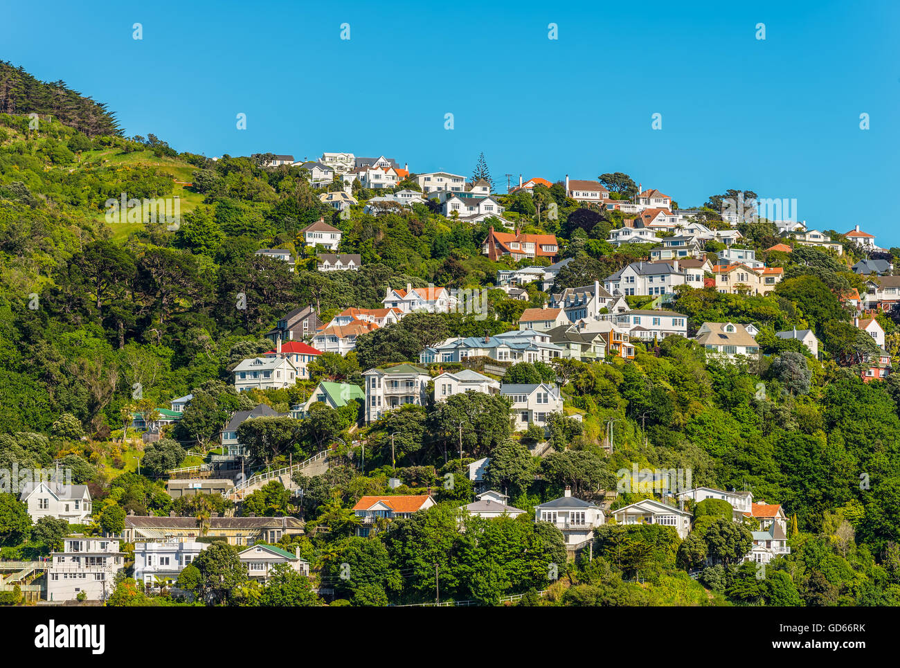 Colorful houses in Wellington, New Zealand. Wellington is the capital city and second most populous urban area of New Zealand Stock Photo