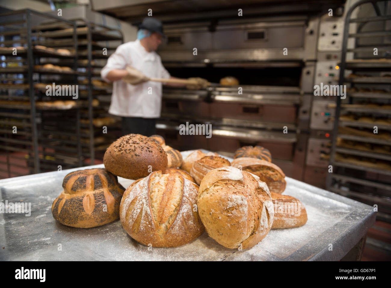 Baker baking bread. England. UK Stock Photo