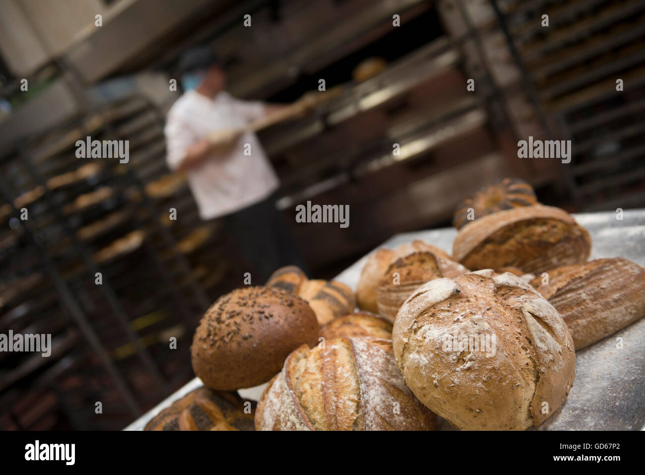 Baker baking bread. England. UK Stock Photo