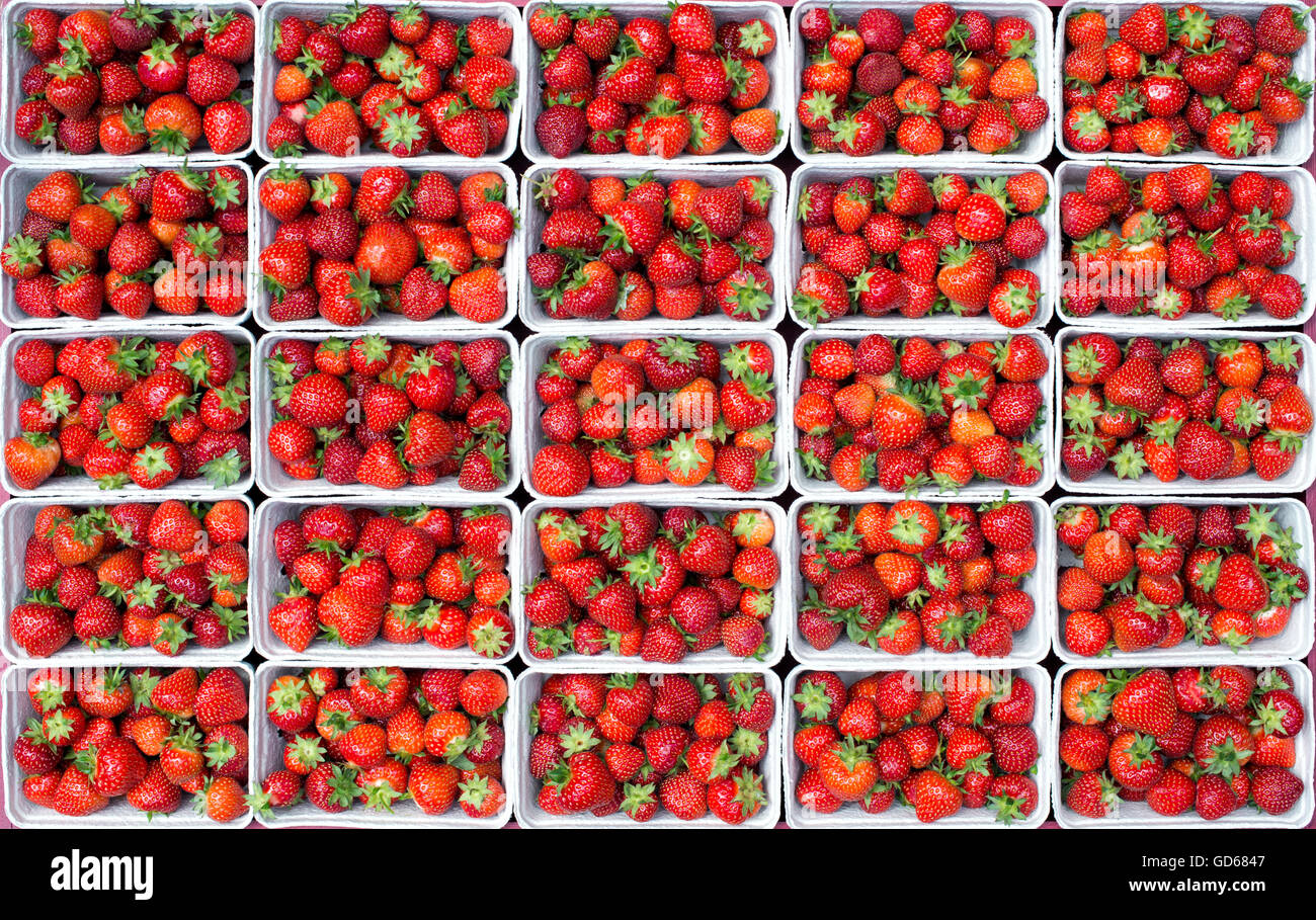 Strawberry strawberries punnet punnets hi-res stock photography and ...