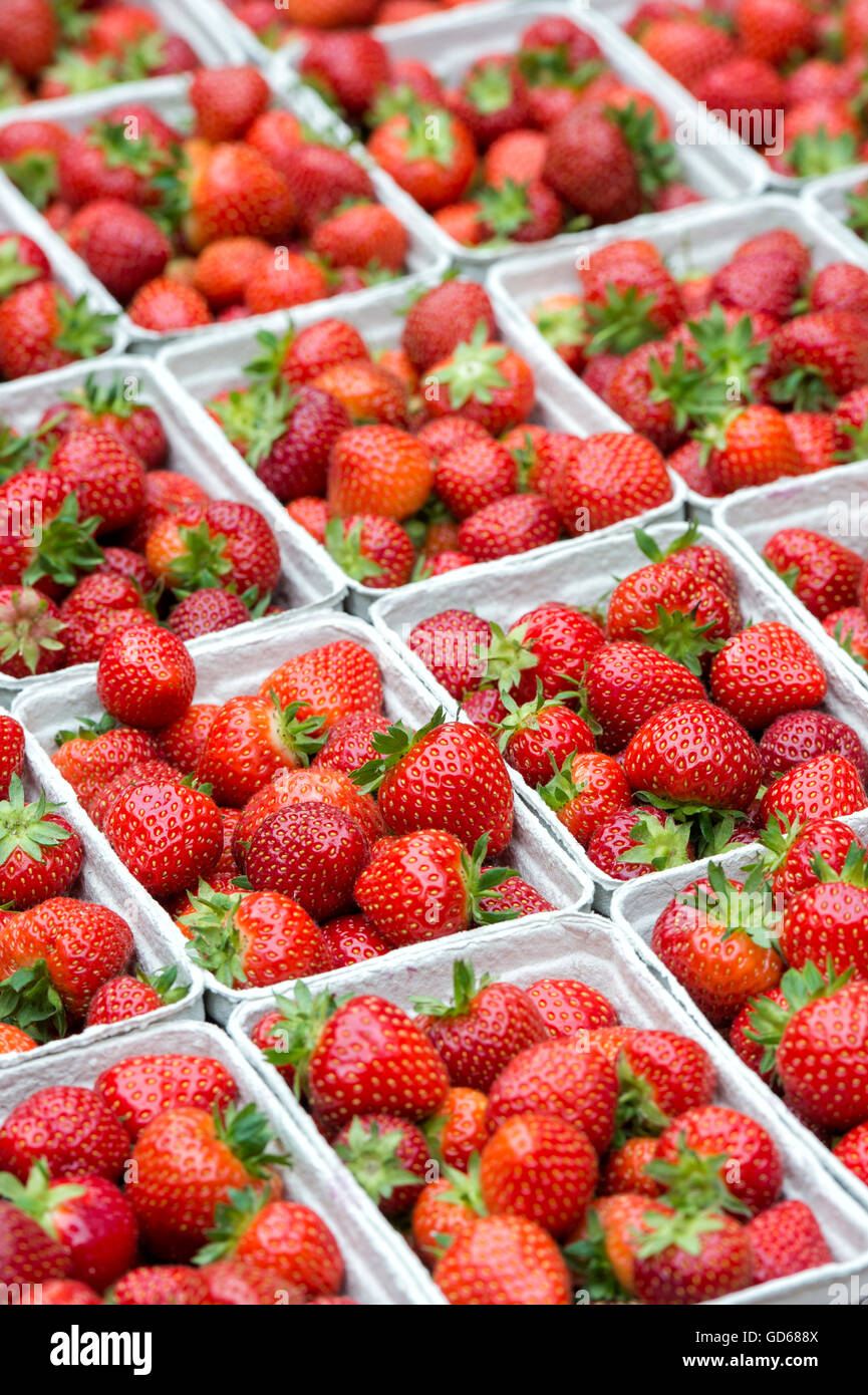 Strawberry strawberries punnet punnets hi-res stock photography and ...