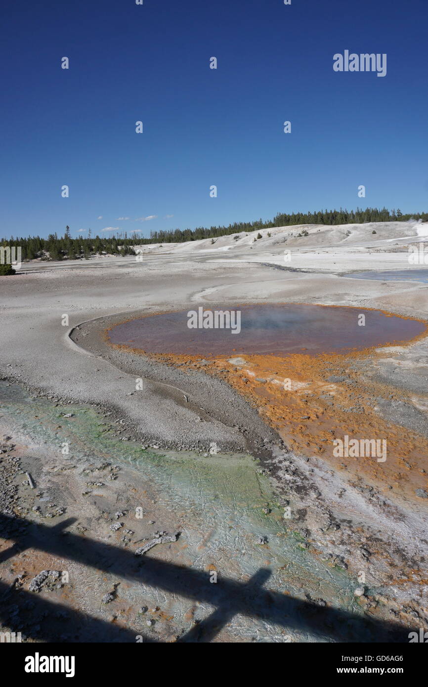Colorful Hot Spring in Norris Geyser Basin, Yellowstone National Park Stock Photo