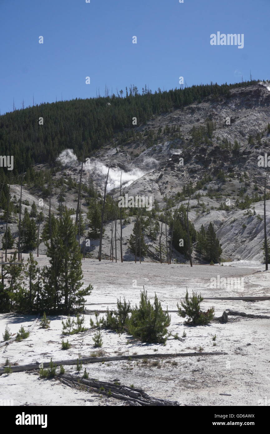 Roaring Mountain, Yellowstone National Park Stock Photo