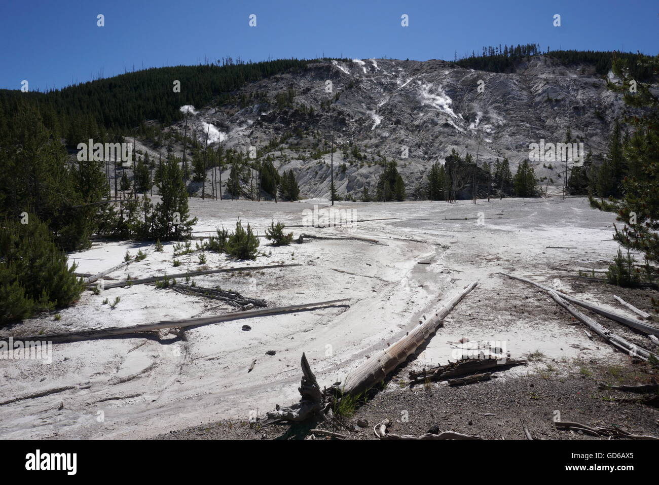 Roaring Mountain, Yellowstone National Park Stock Photo