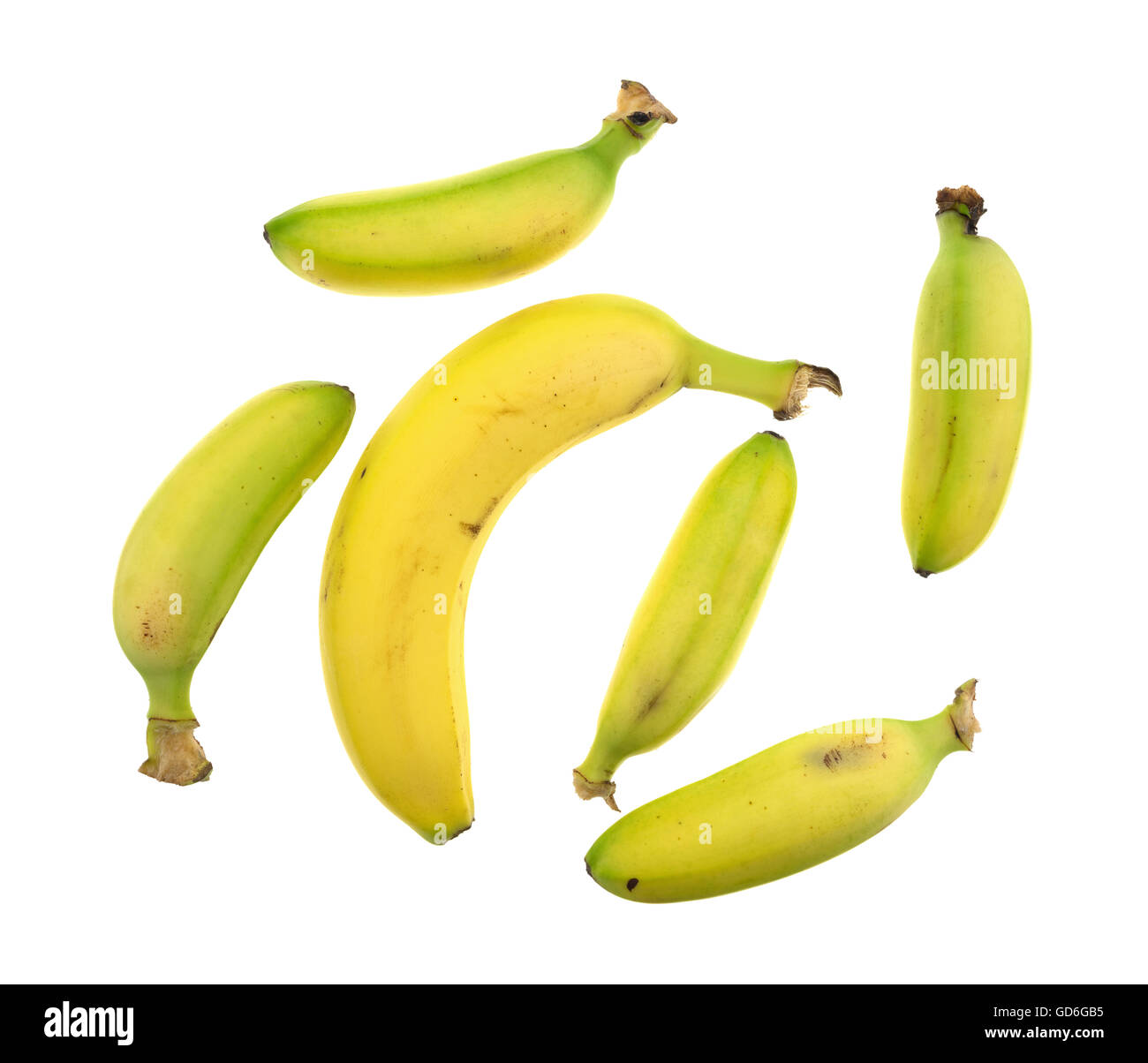 Five Photographs Of Banana In Seach Of >> A Group Of Five Small Bananas Surrounding A Regular Size Banana Five Photographs Of Banana In Seach Of >> A Group Of Five Small Bananas Surrounding A Regular Size Banana