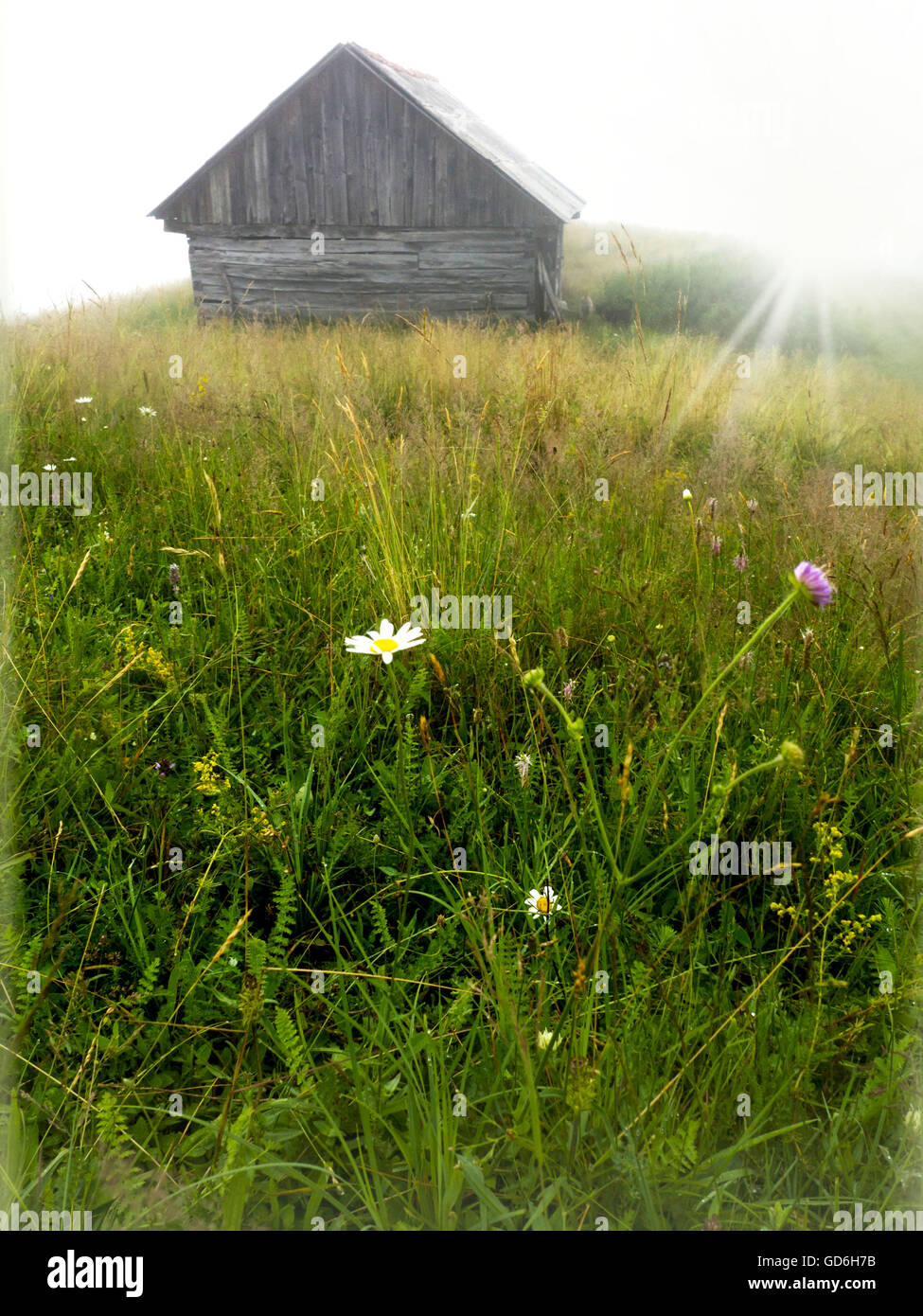 old wooden shed Stock Photo - Alamy