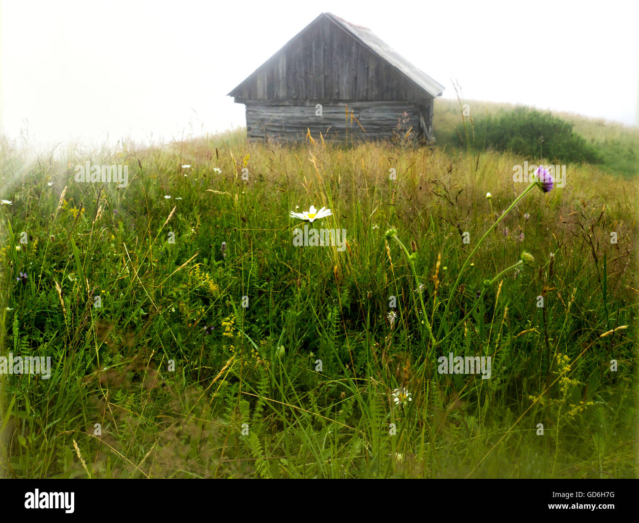 old wooden shed Stock Photo - Alamy