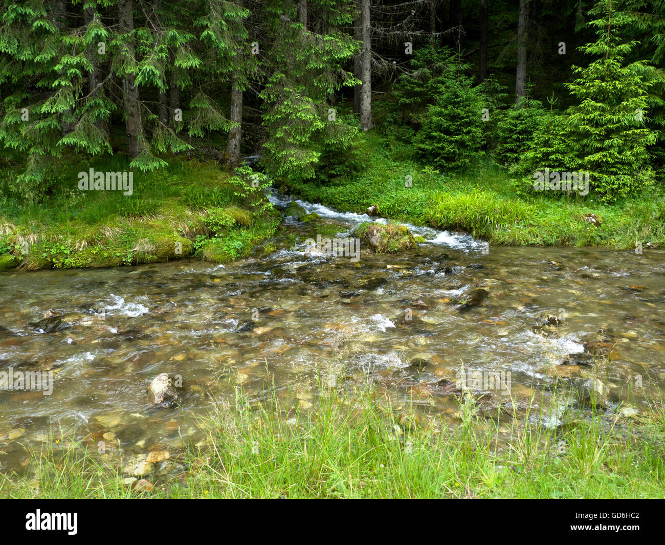 River mountain stream hi-res stock photography and images - Alamy