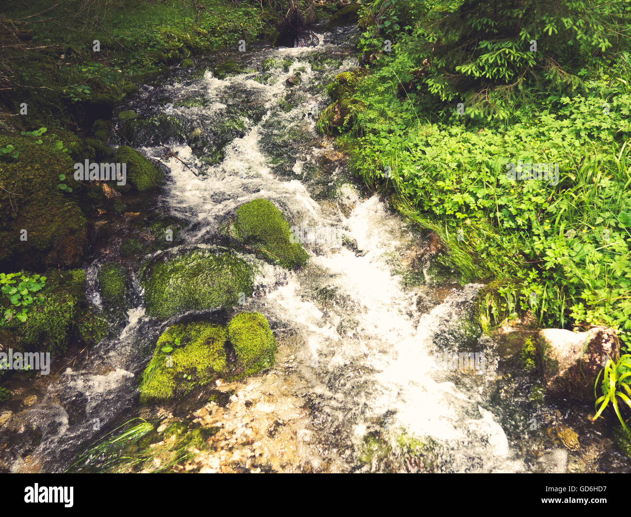 River mountain stream hi-res stock photography and images - Alamy