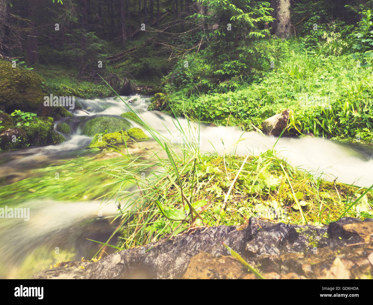 River mountain stream hi-res stock photography and images - Alamy