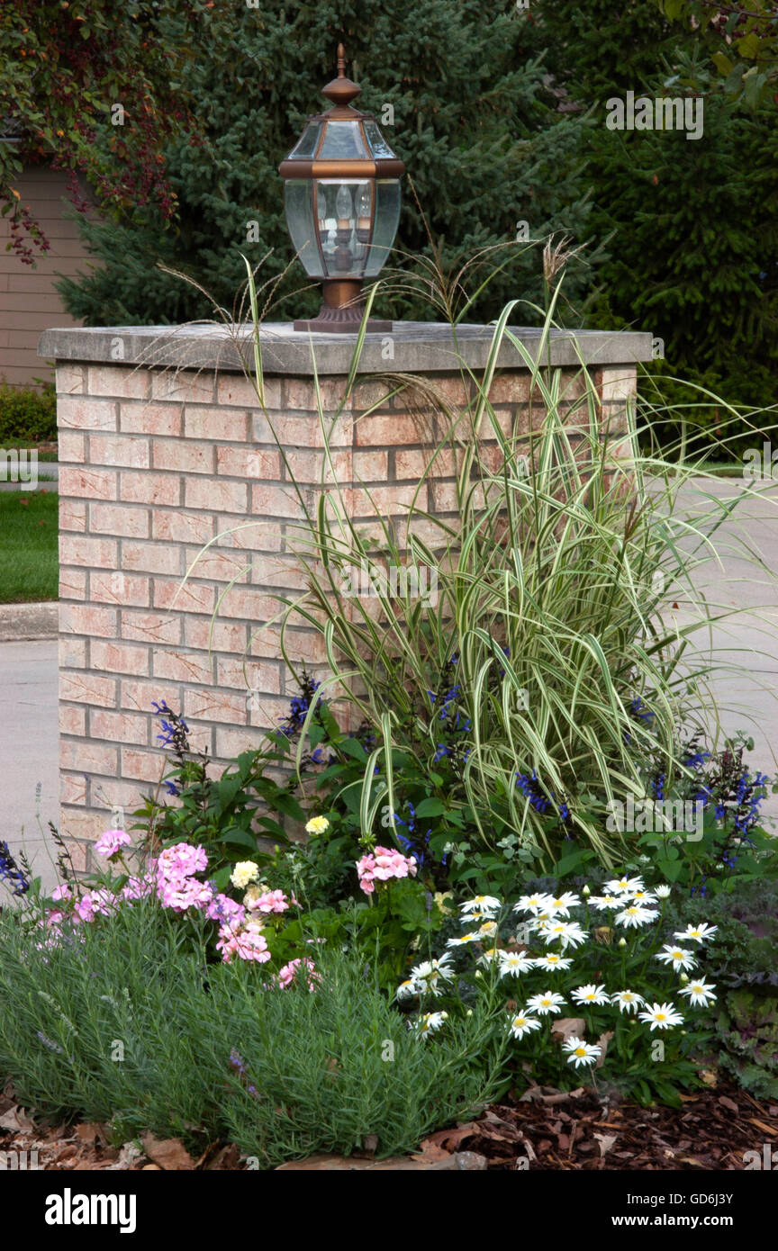 Mailbox planting at brick post with shasta daisy' Alaska', geranium, Adagio ornamental grass Stock Photo