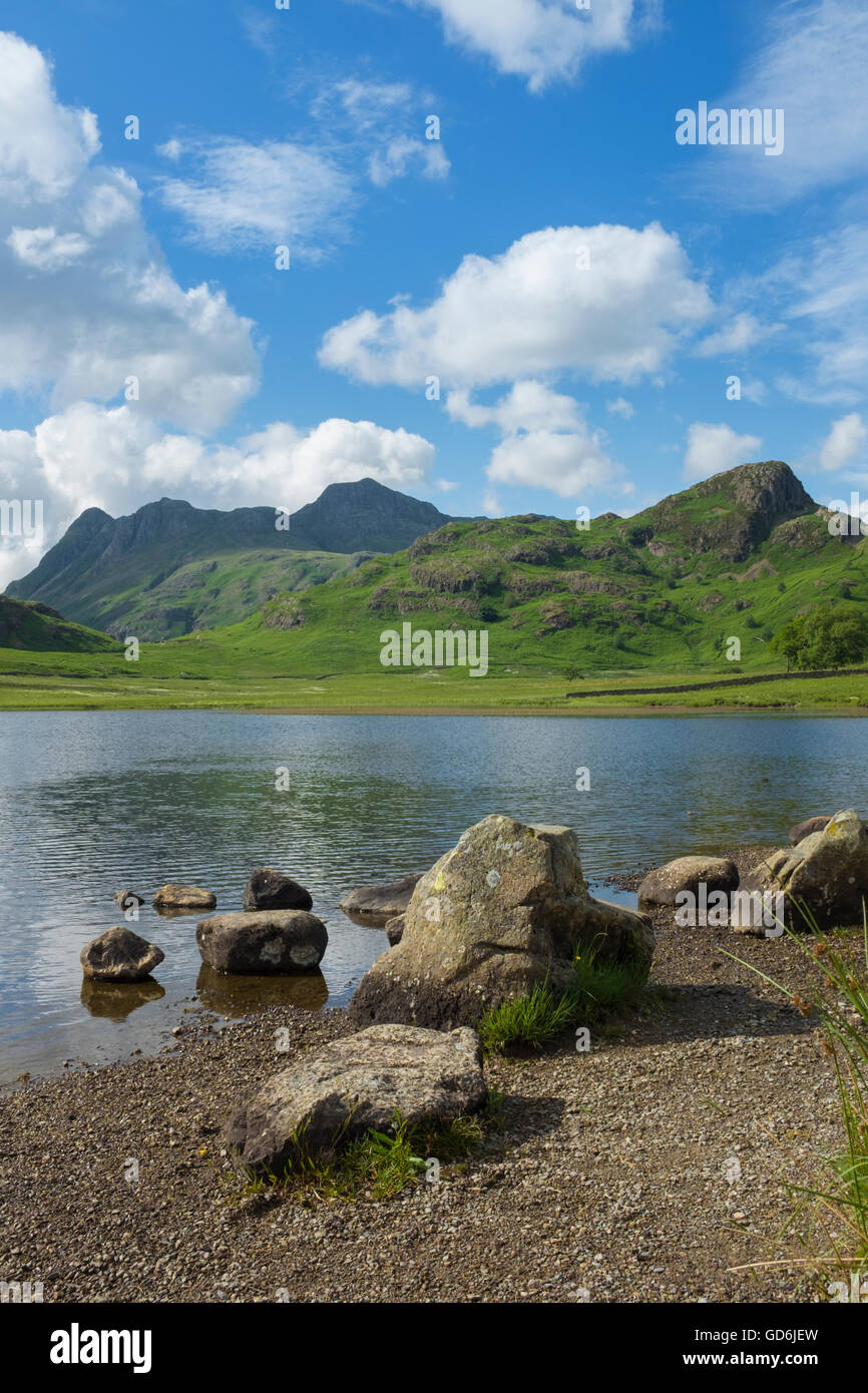 Blea Tarn in the English Lake District Stock Photo Alamy