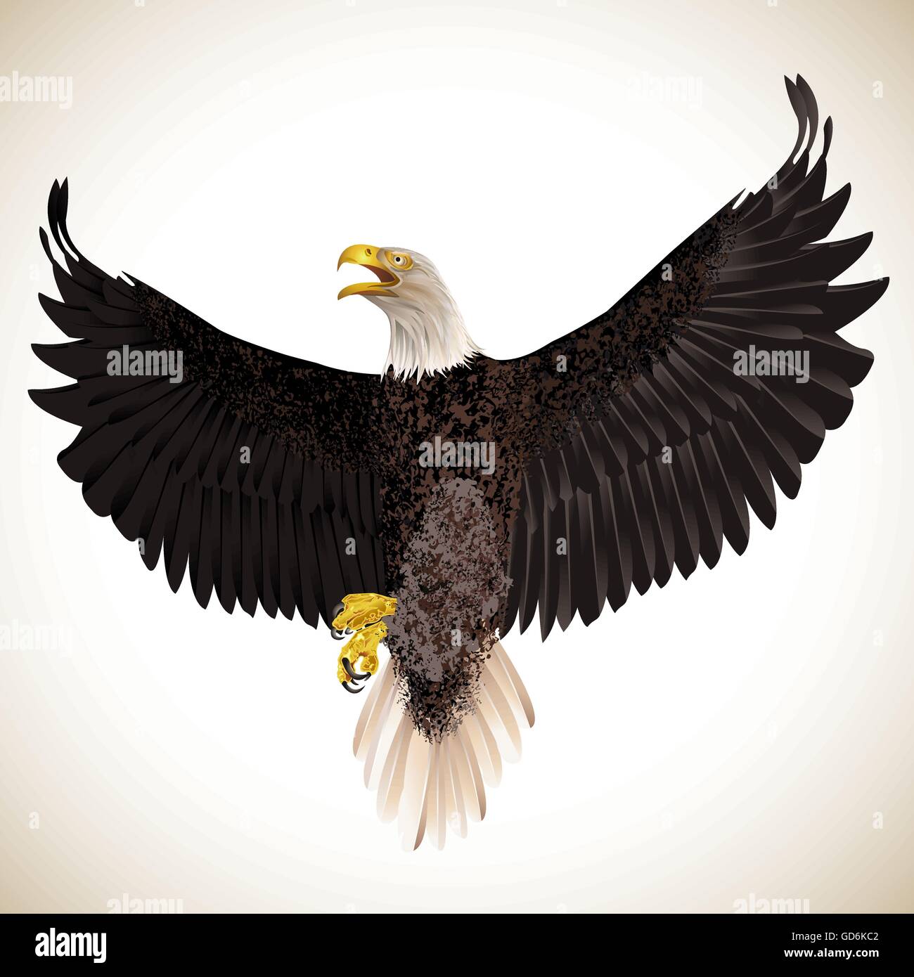 White and brown eagle Stock Vector Images - Page 3 - Alamy White and brown eagle Stock Vector Images - Page 3 - Alamy