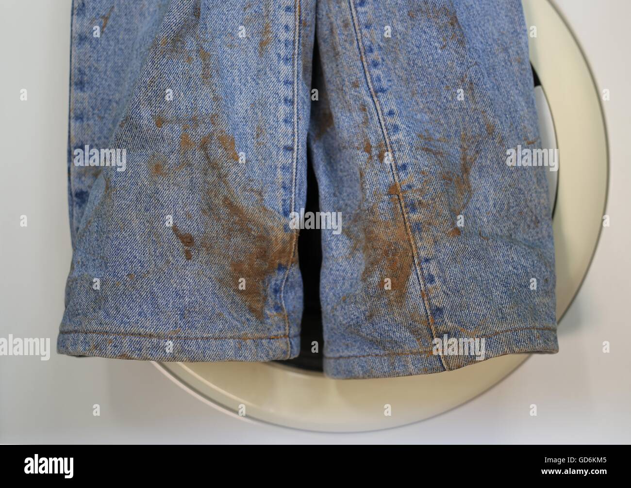 Stained Jeans. Muddy jeans on a washing machine. Mud stain on jeans. Stained jeans before laundry. Metaphore for embarrassment, guilt, shame. Stock Photo