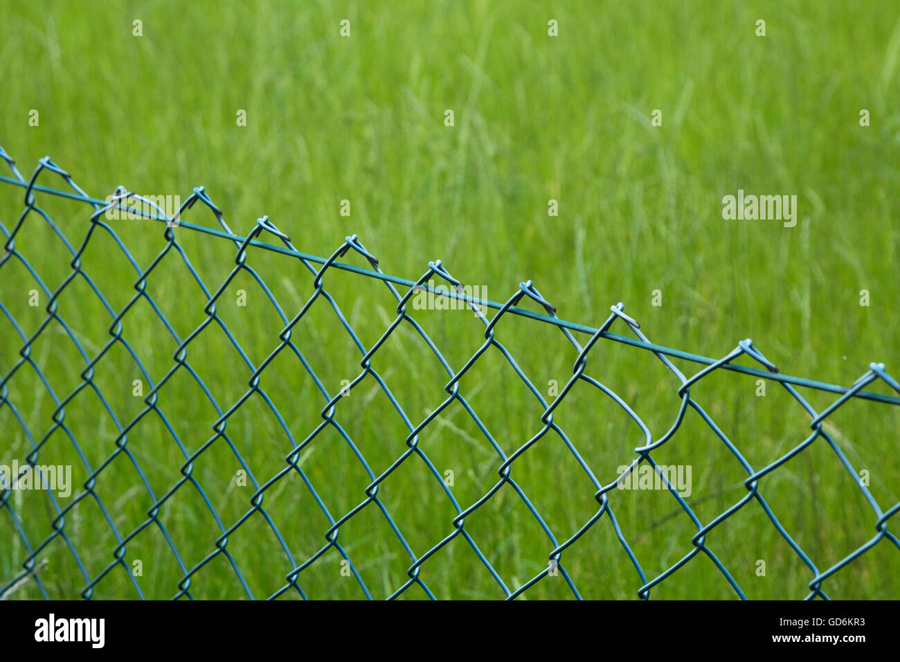 Metallic fence with green grass at the background Stock Photo - Alamy