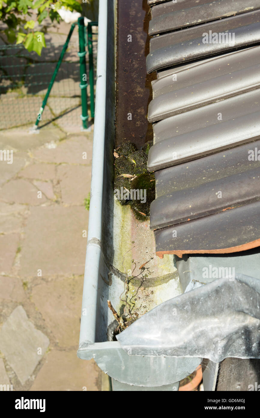 Detail of jammed pipe due to obstruction caused by moss balls falling