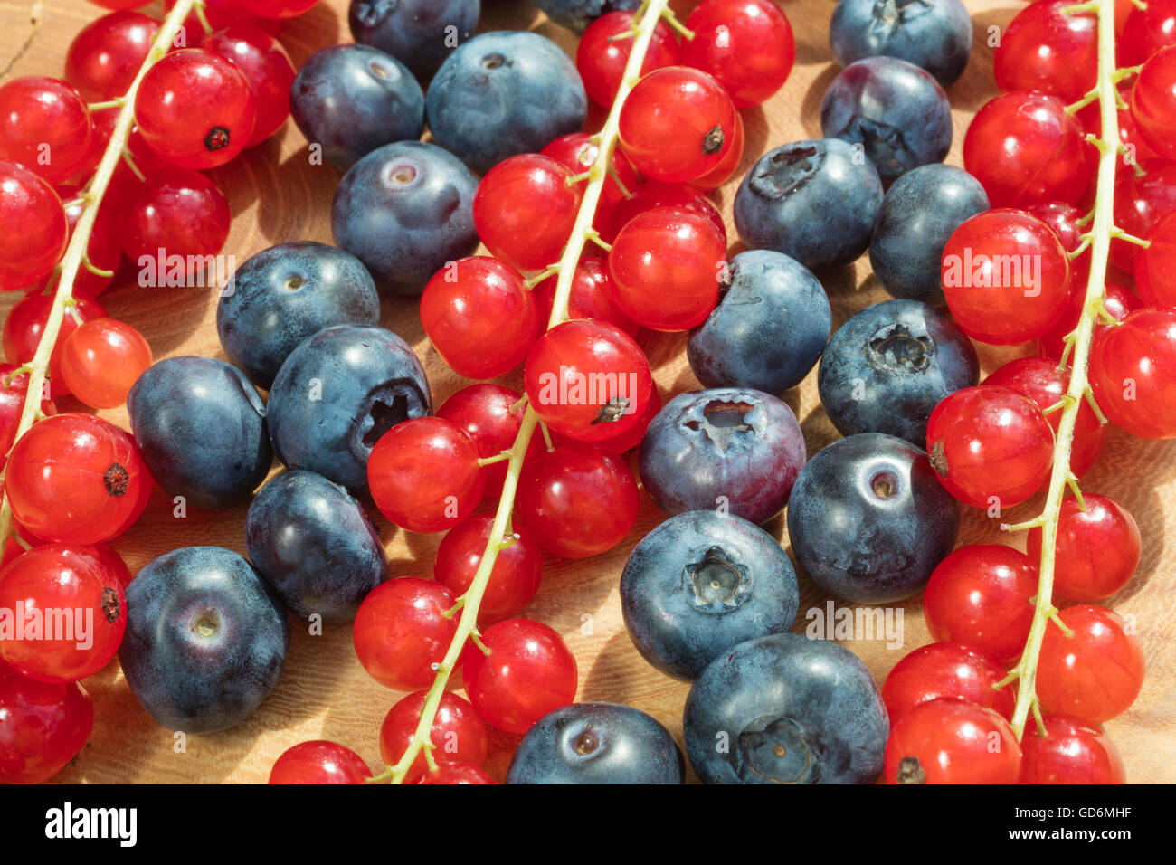 Group of bilberries and red currant placed on a golden dish with white isolated background. Stock Photo