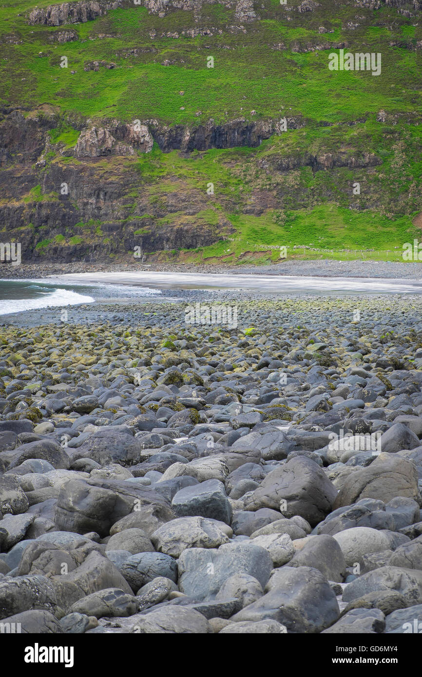 grey beach in Taslisker bay,isle of skye Stock Photo - Alamy