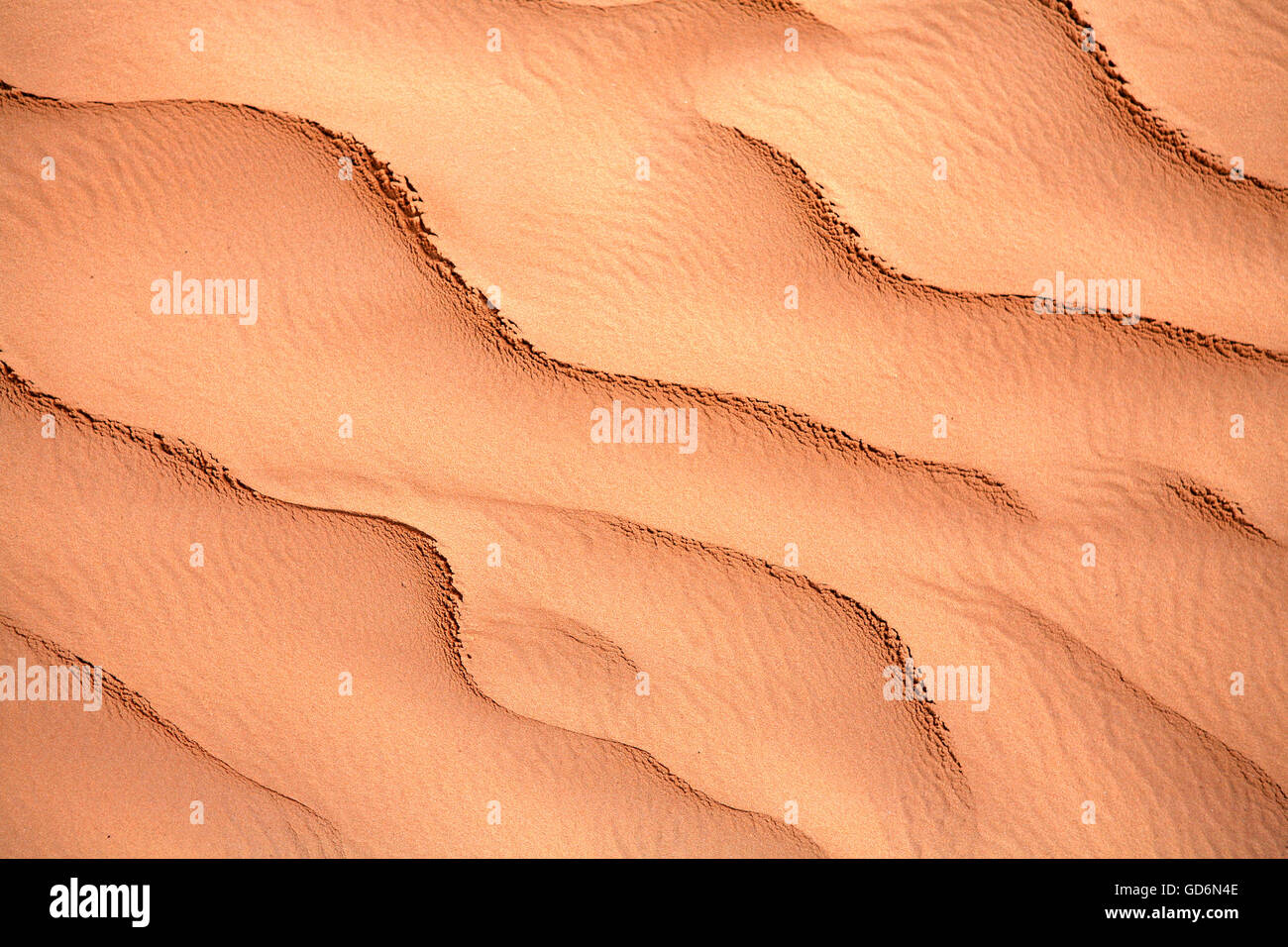 Yellow sand with ripple marks in a desert, Sahara, Southern Tunisia, Tunisia, Maghreb, North Africa, Africa Stock Photo