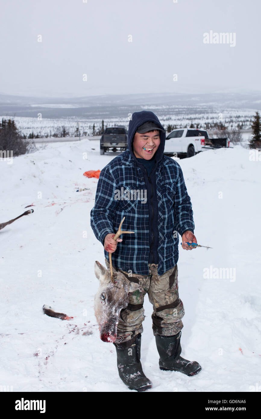 A Gwich'in subsistence hunter harvests caribou outside Fort McPherson, Northwest Territories, Canada, March 17, 2016. Stock Photo