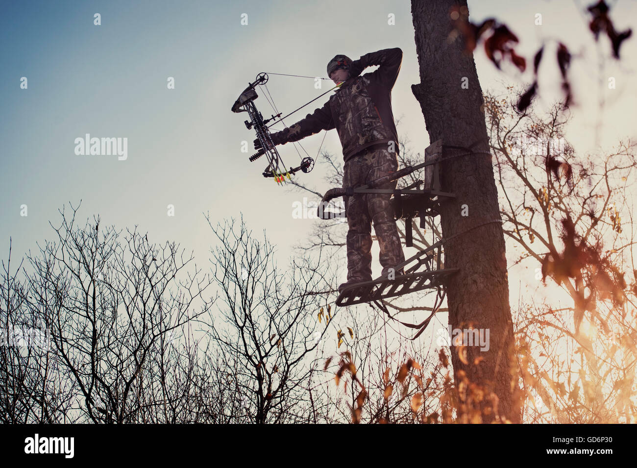 Tree stand bow hunter hires stock photography and images Alamy
