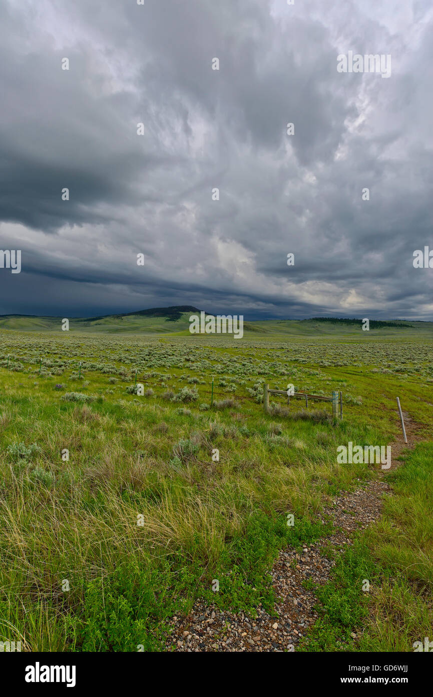 Heavy thunderstorm coming in over the plains, Montana Stock Photo Alamy
