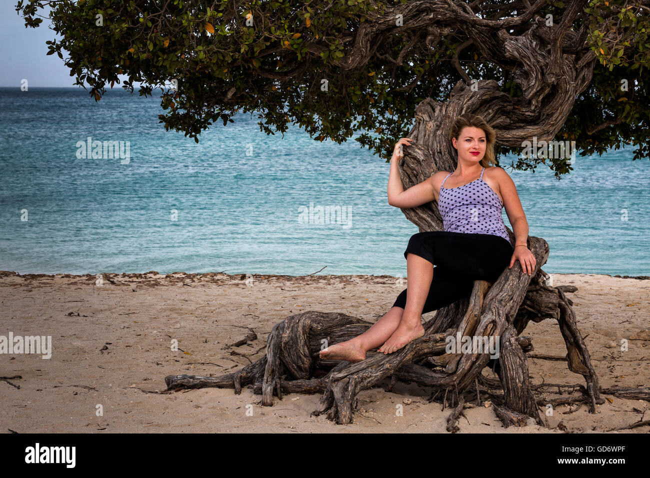 Young 20-something woman relaxing against a Divi Divi Tree at Eagle Beach, Aruba. Stock Photo