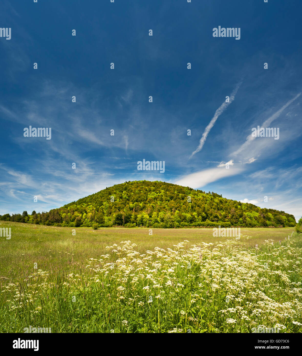 Wildflower meadow in front of Puy de Montchal, a volcanic cone in the Chaine des Puys, Puy-de-Dome, Auvergne, France Stock Photo