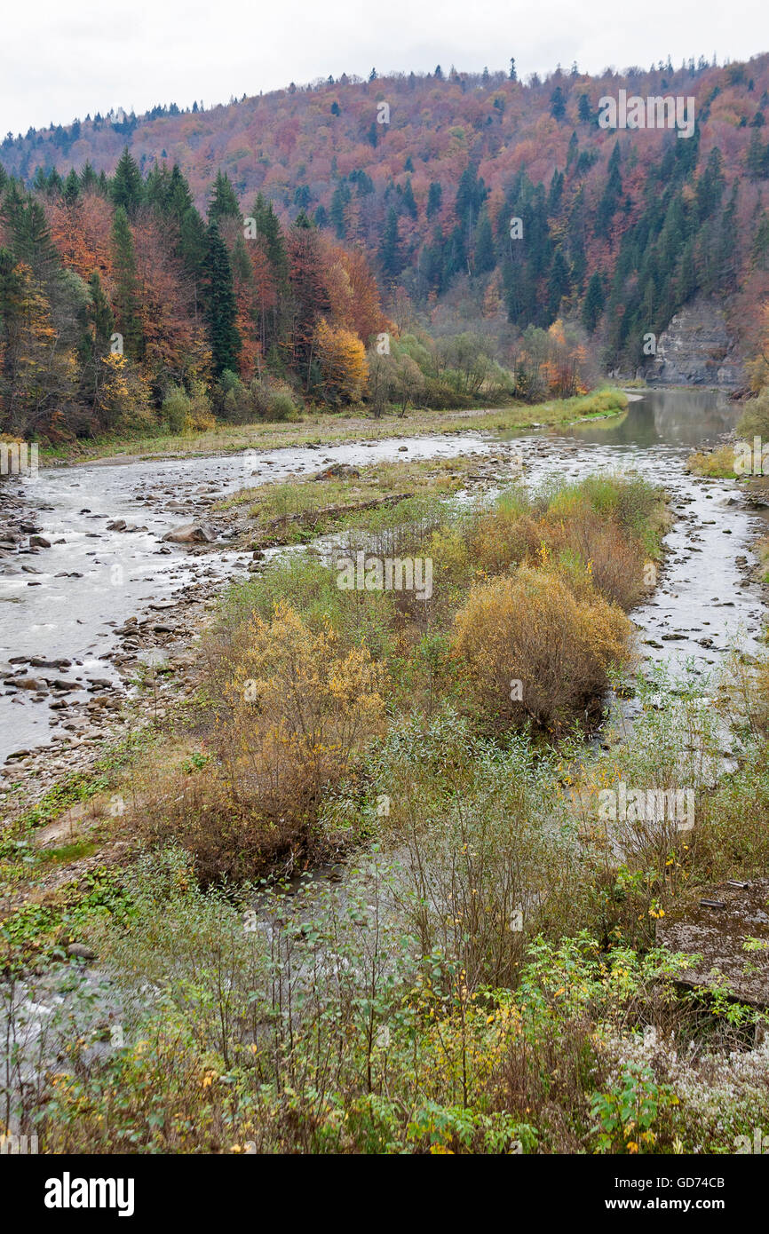 Carpathians mountains and river Prut in autumn, Ukraine. Stock Photo