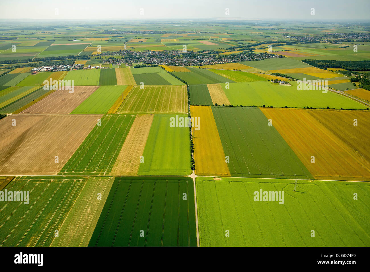 Aerial view, fields in the Rhine plain, agriculture, yellow fields
