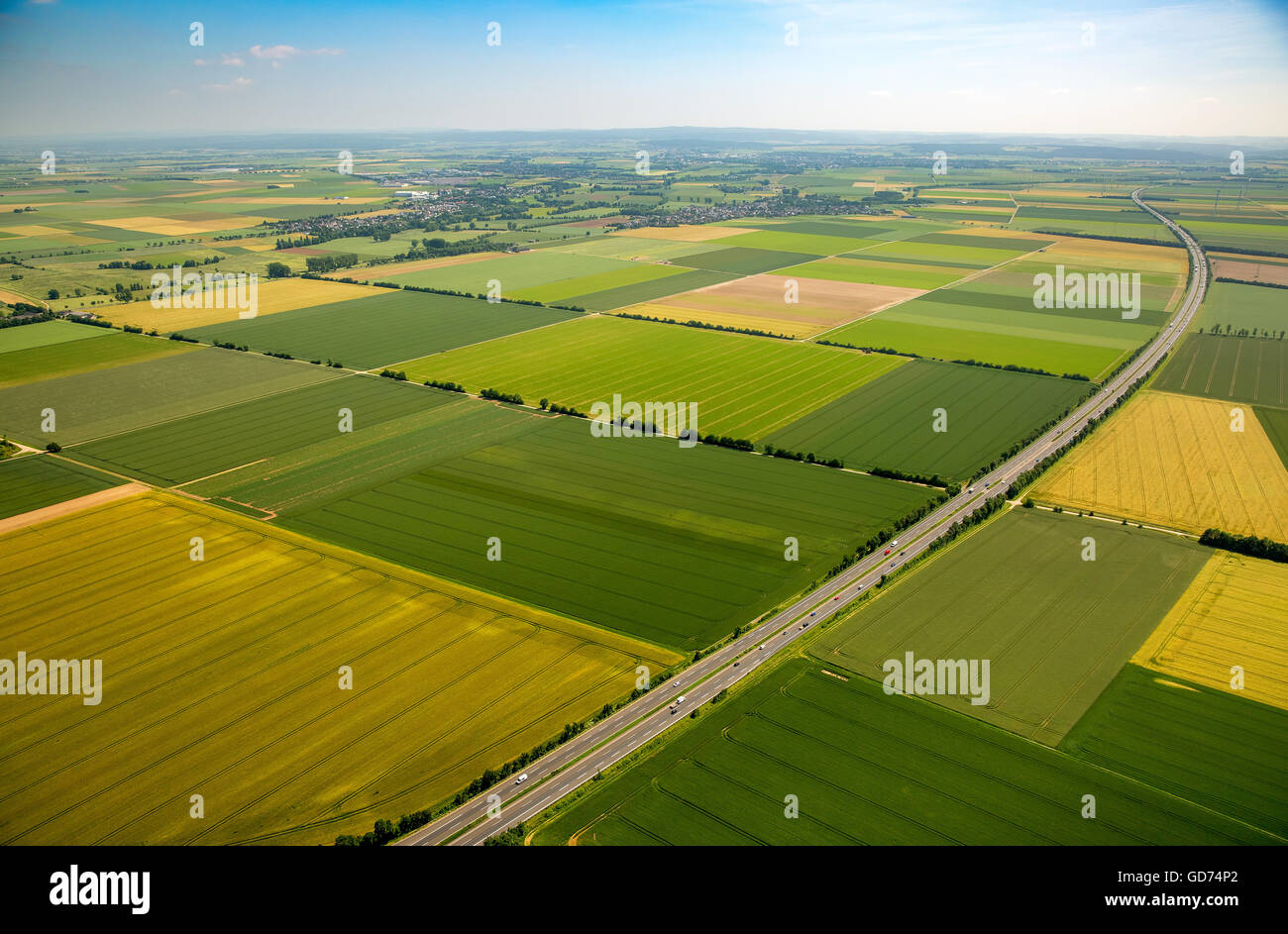 Aerial view, fields in the Rhine plain, agriculture, yellow fields, fields of grain Weilerswist, Rhineland, Stock Photo
