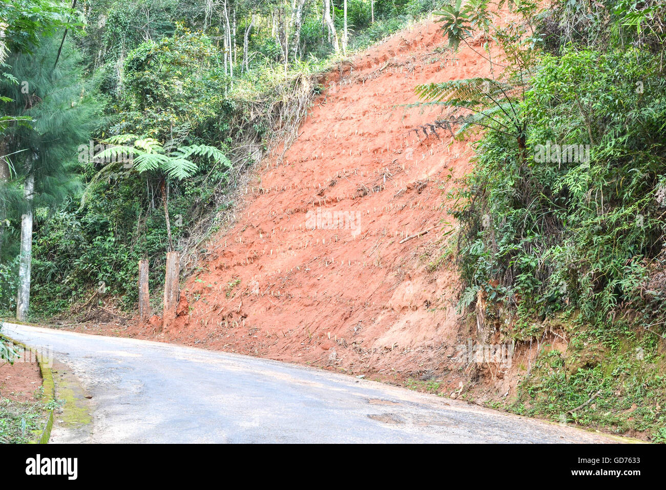Erosion on the side of a road in Petropolis, Brazil, as the result of deforestation Stock Photo